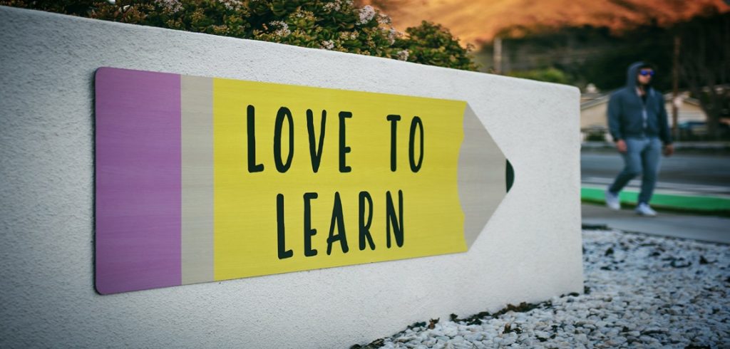 Non-Stop Learning For Startup Founders